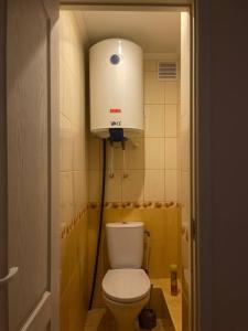 a small bathroom with a toilet and a water tank at Summer Apartment in Liepāja