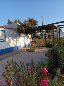 a garden in front of a building with flowers at Casas do Montinho in Melides
