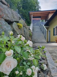 Φωτογραφία από το άλμπουμ του Weingut Pugl σε Leibnitz