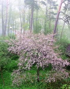 Fotografie z fotogalerie ubytování Privātviesnīca Zvaigzne v destinaci Jūrmala