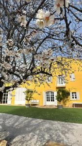 Fotografie z fotogalerie ubytování Lidia Rural House v destinaci San Martín Sarroca
