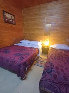 a hotel room with two beds and a lamp at Cabaña Del Jardín San Pedro De Colalao in San Pedro de Colalao