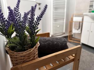 a basket of purple plants sitting on a chair at Apartman Mitnica in Vukovar