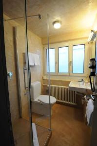 a bathroom with a shower and a toilet and a sink at Hotel Limmatblick in Zurich