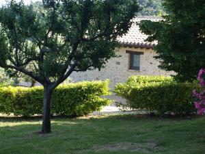 Vonkajšia záhrada v ubytovaní Agriturismo Camiano Piccolo