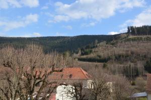 Příroda nedaleko penzionu – hostince