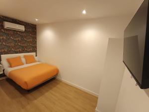 a bedroom with a bed and a television in it at Hostal Flat55Madrid in Madrid