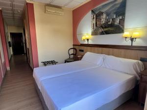 Postel nebo postele na pokoji v ubytování Hotel Pinomar