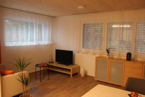 TV a/nebo společenská místnost v ubytování Ruhiges, schönes Studio in Zuchwil