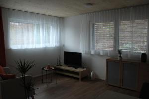TV a/nebo společenská místnost v ubytování Ruhiges, schönes Studio in Zuchwil