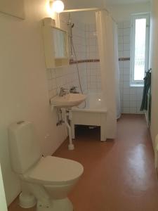 un bagno con un water e un lavandino di Corporate apartment a Fellingsbro