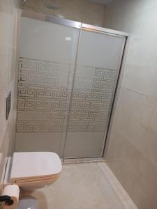 a bathroom with a shower and a toilet at ELEGANT HOUSE Cappadocia in Urgup +15 photos