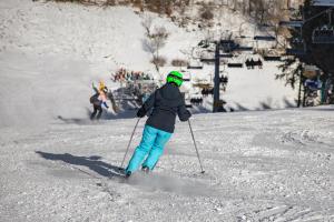 Skifaciliteter ved ferieparken eller i nærheden