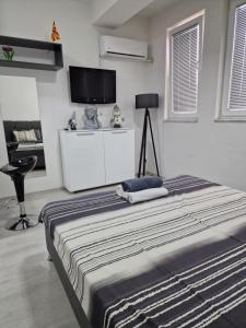 a bedroom with a large bed and a flat screen tv at M and M Apartment in Ohrid