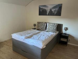 a bedroom with a large bed with two lamps on it at Ferienwohnung am Waltenberg in Winterberg