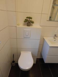 Koupelna v ubytování Wunderschoenes-freistehendes-Ferienhaus-an-der-See-Sauna-Strand-Yachthafen-WLAN