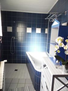 y baño de azulejos azules con lavabo y ducha. en Gîte Vacances en Auvergne, en Saint-Géron