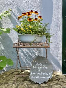 Galeriebild der Unterkunft Hof Hallenberg in Hallenberg