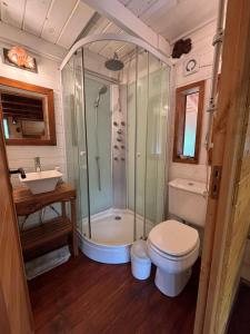 a bathroom with a shower and a toilet and a sink at Cabañas Refugio del Cauquen - Moquehue in Moquehue