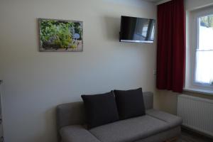 a living room with a couch and a television at Pension Waldheim in Mauterndorf