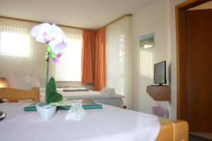 TV a/nebo společenská místnost v ubytování Hotel Nordwind