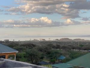 una vista della savana dal tetto di una casa di Lake Natron Maasai Guesthouse a Mtowabaga
