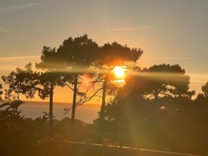 Φυσικό τοπίο κοντά σε αυτή η βίλα