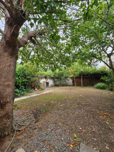 Zahrada ubytování Casa una habitacion con tres camas,patio, totalmente equipada + 13 fotografií