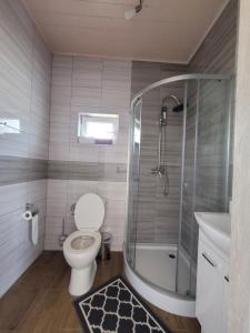 a bathroom with a toilet and a shower and a sink at Domki Eridan, nad morzem in Wisełka