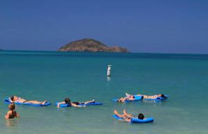 East EndにあるCondos at Sapphire Beachの水中にサーフボードを敷く人々