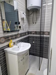 a bathroom with a sink and a shower at M and M Apartment in Ohrid