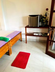 a living room with a tv and a red rug at Ella viewpoint sunnyview in Ella