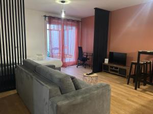 a living room with a couch and a television at Studio Spacieux 4 Personnes avec Terrasse privée & Bureau - Gare à 4min, Paris en 30min in Villiers-sur-Marne +8 photos