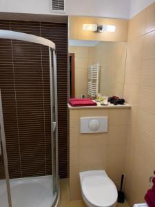a small bathroom with a toilet and a shower at Apartament Muzungu in Świnoujście