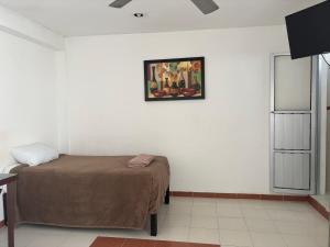 a bedroom with a bed and a picture on the wall at Condohotel Mictlan Akumal in Akumal