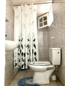 a bathroom with a toilet and a shower curtain at Maison Tunisienne avec Patio in Sousse