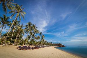 a beach with chairs and palm trees and the ocean at Coco Palm Beach Resort - SHA Extra Plus in Mae Nam