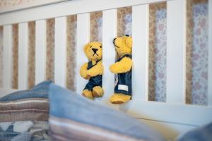 two teddy bears are standing in a crib at Ferienwohnung Eichenhof in Blankensee