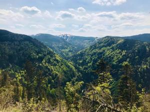 Φυσικό τοπίο κοντά σε αυτό το διαμέρισμα +63 φωτογραφίες