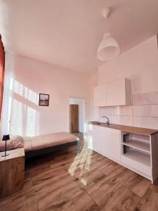 Kuchyň nebo kuchyňský kout v ubytování Hotel New Town