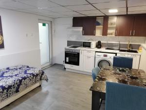 Dapur atau dapur kecil di Апартамемт 3 места с кухня с дворче