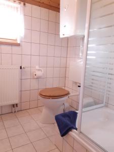 a bathroom with a toilet with a blue towel at Ferienhaus Lerche 3 in Wulfskuhl