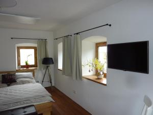 TV a/nebo společenská místnost v ubytování Appartement Traunseeferien