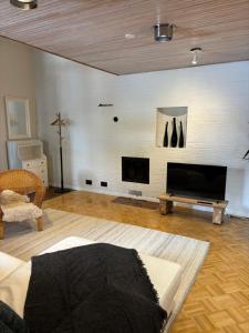 TV a/nebo společenská místnost v ubytování Staycation apartment Hyvinkää
