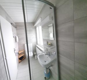 Vannituba majutusasutuses Hôtel Splendide