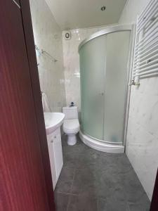 Un baño con inodoro y ducha de cristal. en Mziuri Velli, en Bakuriani