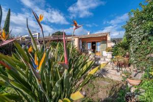 a house with plants in front of it at Maison climatisée pour 5 personnes , au clame , jardin arboré proche commerces in Bormes-les-Mimosas