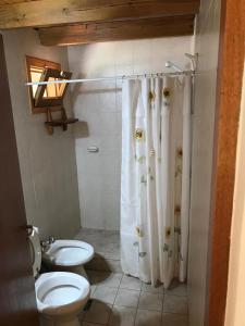 a bathroom with a toilet and a shower curtain at Cabaña SOLO 42 - Villa Lago Meliquina in Villa Meliquina
