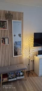 Televízia a/alebo spoločenská miestnosť v ubytovaní Apartments Barac