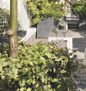 Ein Haufen grüner Pflanzen im Garten. in der Unterkunft Belle chambre avec accès à une terrasse in Paris